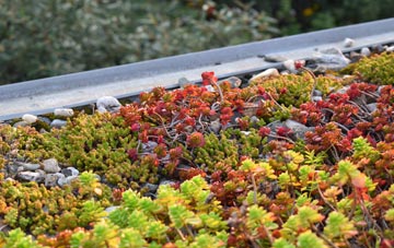 the cost of Kirkibost green roof installation