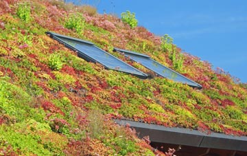 Kirkibost living roof systems