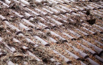 Kirkibost roof cleaning companies